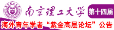 啊啊啊啊别插了喷水南京理工大学第十四届海外青年学者紫金论坛诚邀海内外英才！